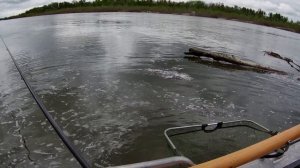 рыбалка во время разлива на нижней Волге 2022,Астраханская область, рыбалка на поплавочную удочку