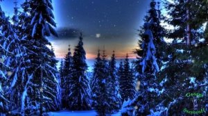 Сказочный зимний лес  Музыка для души