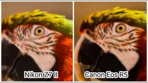 Nikon Z7 II Vs Canon Eos R5 Camera Test