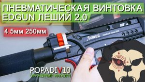 Пневматическая винтовка EDgun Леший 2.0 (4.5 мм, 250 мм) видео обзор 4k