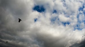 Облака таймлапс