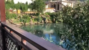 ОТДЫХ ГЛАВ РЫБА СУЛАКСКИЙ КАМЬЁН ДАГЕСТАН