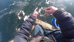 ТИХИЙ, ПЕРВЫЙ ЛЁД.