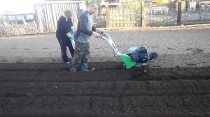 Посадка картофеля культиватором viking vh 540