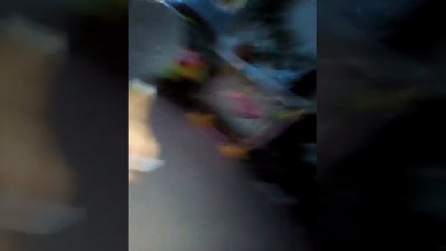 Вызываем бабадука смотреть онлайн