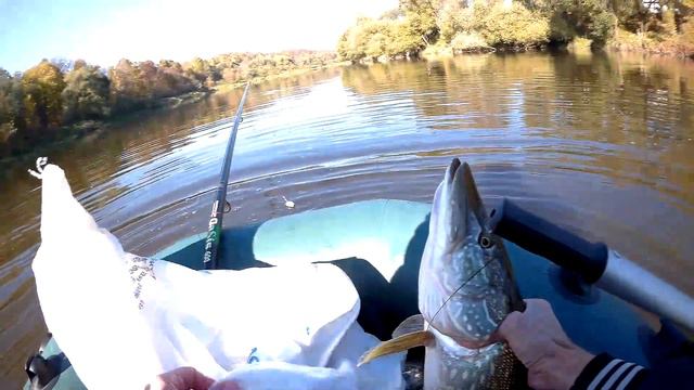 Сплав по Днепру Щука на живца Голавль смотреть онлайн