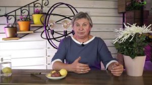 Почему Чернеет Картофель При Хранение ✔️ Можно ли есть почерневший картофель сад