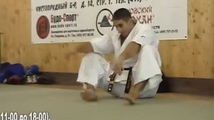 Лучиан Гогонел. Кекусинкай каратэ. Мастер-класс. Ч1.