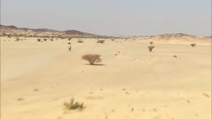 DAKAR 2021 - BEST OF MOTO