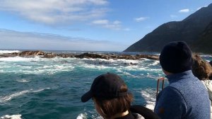 SCUBAclass. Путешествие в ЮАР. 2022 год