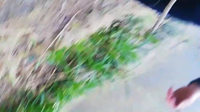 Alfa Romeo по цене ЖИГИ / возвращение БУНДЕСЛИГИ / рыбалка в селе смотреть онлайн