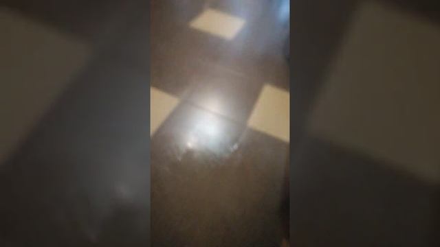 нас затопили соседи сверху смотреть онлайн