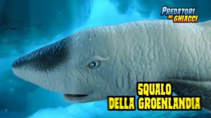 ПОВЕЛИТЕЛИ ЛЬДОВ