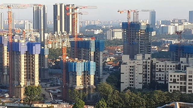 Parc Clematis Progress 19.06.2022