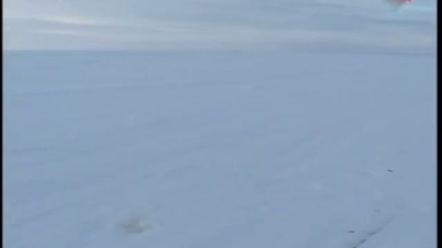 Ловля окуня в глухозимье.Рыбинское водохранилище. смотреть онлайн