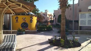 Моё 20.12.21.Впечатления от отеля "Ле Паша".🌴☀️👌