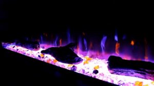 Линейный очаг Royal Flame Astra 50 RF - НОВИНКА 2020 ГОДА