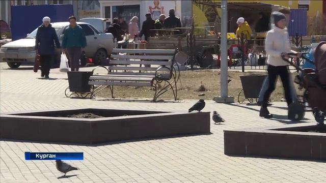 "Наш Заозёрный" занимается озеленением Заозёрного
