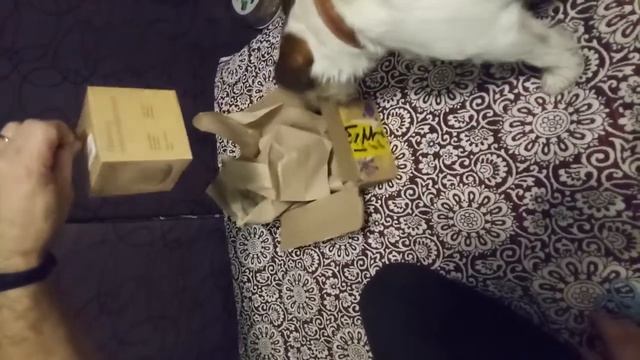 Получение умной Яндекс колонки в постамате. Распаковка Яндекс станции смотреть онлайн