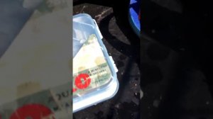 Крупный голавль малой реки