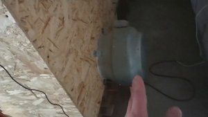 Как сушить и хранить Орех грецкий в небольших фермерских хозяйствах.