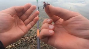 Ловля карася на маховую удочку.