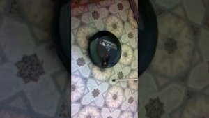 LG Roboking (на базу)