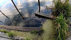 Осенняя щука на живца. Рыбалка в городе Сергиев Посад.