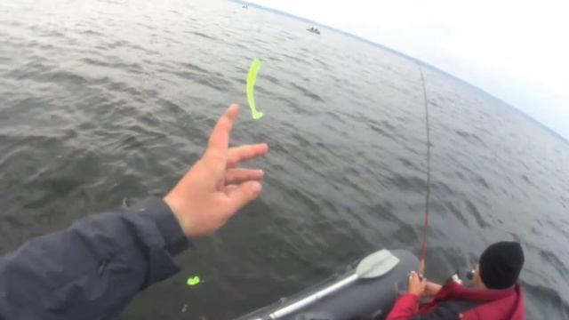 Охота на Окуня в Новолукомле- 2день\Hunting for Perch in Novolukoml-2day. смотреть онлайн