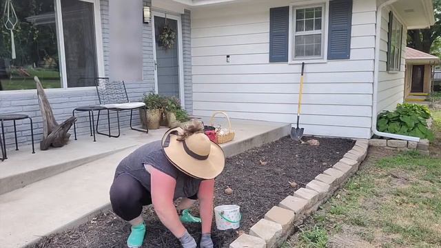 Planting Giant Elephant Ear Bulbs