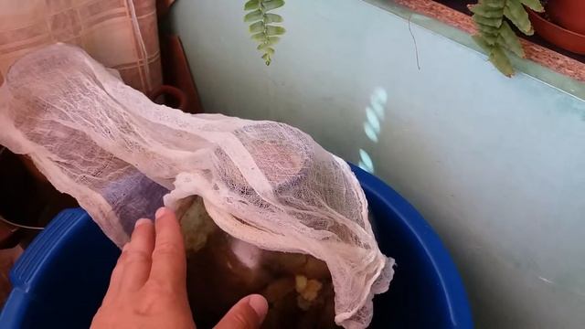 КАК СДЕЛАТЬ ДОМАШНИЙ КВАС / РЕЦЕПТ ДОМАШНЕГО КВАСА смотреть онлайн