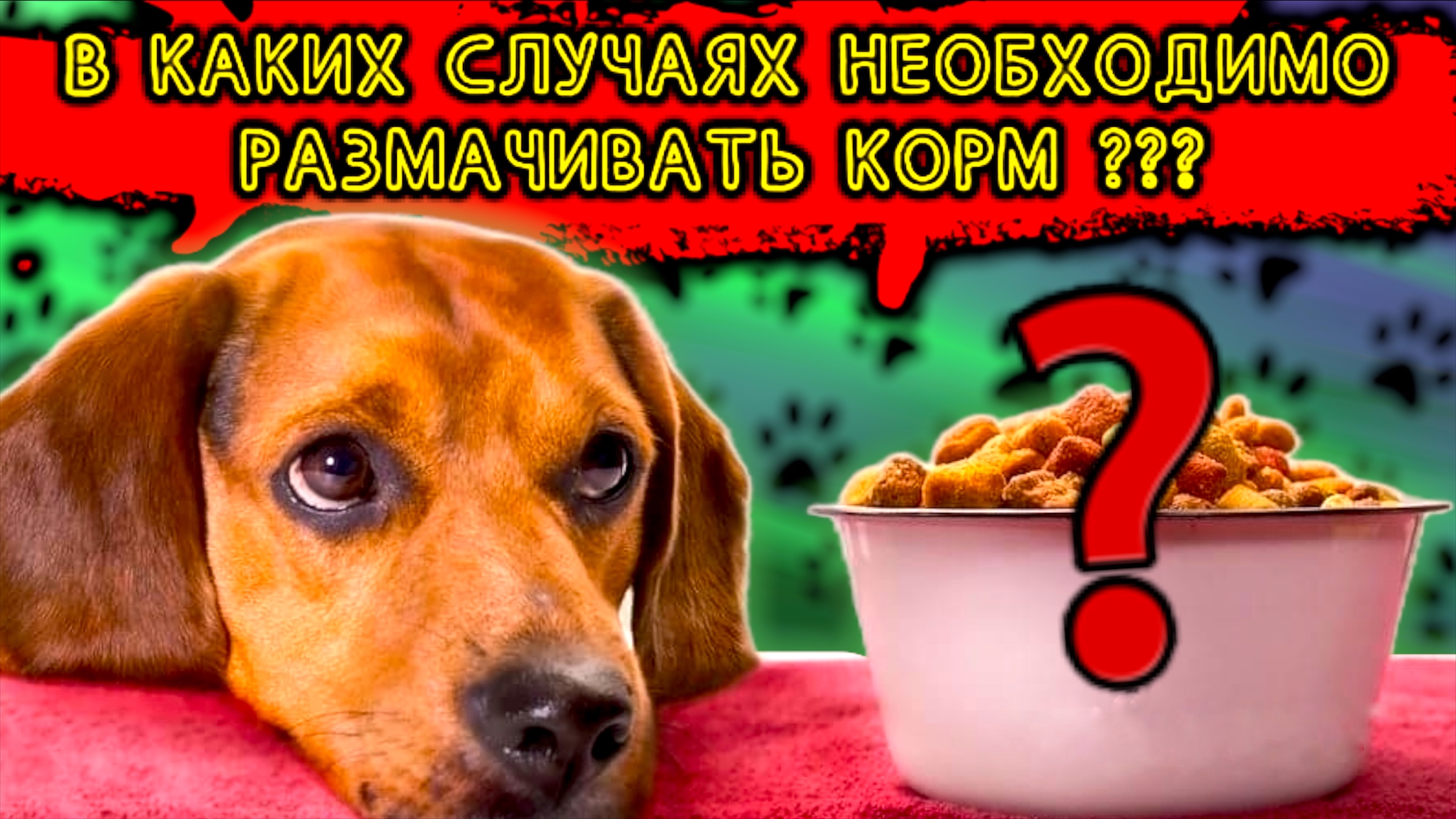 В каких случаях необходимо размачивать корм ? смотреть онлайн