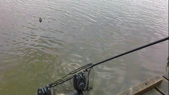 Рыбалка с Ночёвкой Деревня Юрлово .Ловим Форель на Фидер смотреть онлайн