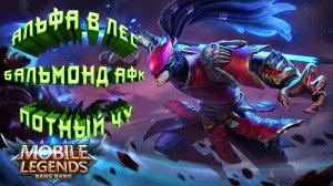 Альфа в лес | Бальмонд афк | Потный Чу | Mobile Legends Bang Bang