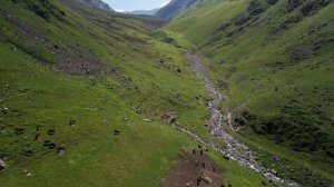 В ущелье Ат-Жайлоо. Кыргызстан.