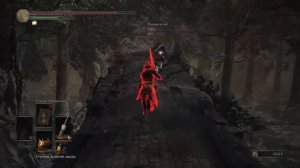 Дарк соулс 3 пару вторжений Мечом изгнанника