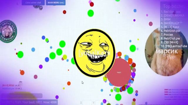 ДЕВОЧКА ТАЩИТ В ЧАШКЕ ПЕТРИ | ЧАШКА ПЕТРИ смотреть онлайн