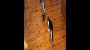 АнукаДавайка