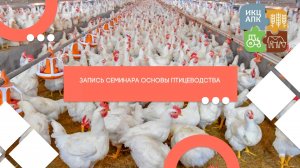 Основы птицеводства