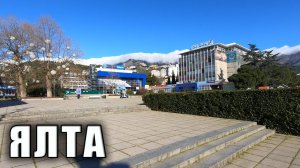 © Крым Ялта. Иногда здесь видишь такое, чего раньше встречал.