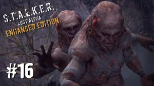 УМОПОМРАЧИТЕЛЬНЫЙ ДУЭТ ► S.T.A.L.K.E.R. Lost Alpha Enhanced Edition ► #16