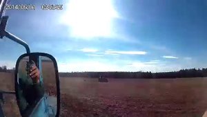 Боронование многолетних трав.