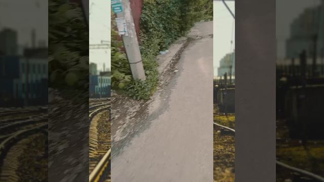 Туристы в воронеже