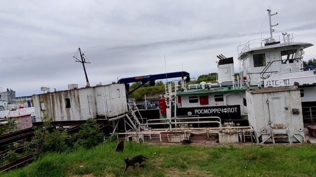 Плавучий кран КПЛ-16 и другие суда