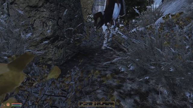 Отвлекись от реальности... TES4: Oblivion. Хижина Пепельной Розы смотреть онлайн