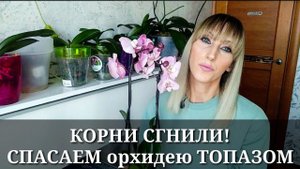 КОРНИ ОРХИДЕИ СГНИЛИ / ТОПАЗ для орхидей / Обработка, спасаем орхидею phal. ROME