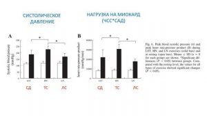 СТАТОДИНАМИКА - сравнение с традиционной силовой тренировкой
