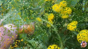 Подмосковье. Павловская Слобода. Река Истра.