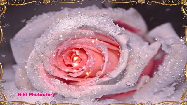 С Днём Рождения! Самое Красивое Поздравление?Лучшие слова и розы для тебя Музыкальная Видео Открытк смотреть онлайн