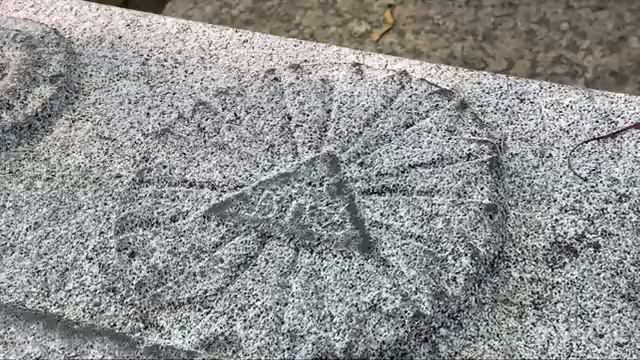 Прогулка среди древних могил , некрополь 18 век, Александро-Невская лавра смотреть онлайн